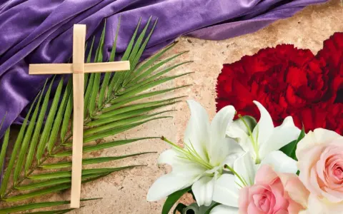 Cruz de palma, lirios blancos y rosas rosadas, con tela morada y flor de semana santa roja.