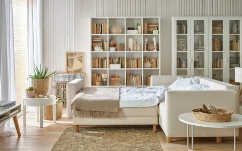 Jasny salon z sypialnią na małej powierzchni. Rozkładana sofa, regały z książkami i dekoracje tworzą przytulną przestrzeń.