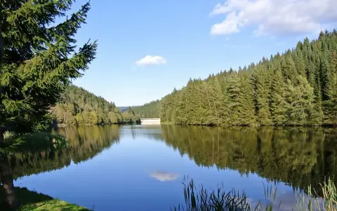 Idyllischer **Badesee Grotegaste** umgeben von dichten Wäldern, die sich im ruhigen Wasser spiegeln. Ein perfekter Ort für Erholung.