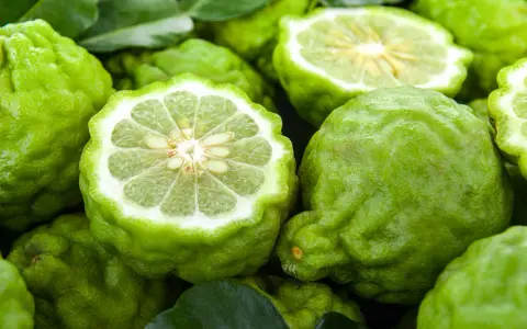 Bergamota para que sirve: estos cítricos verdes, con su piel rugosa y pulpa jugosa, son ideales para infusiones y remedios naturales.
