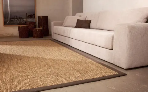 Alfombra sisal 200x300 de fibras naturales, ideal para crear un ambiente cálido y acogedor junto a un sofá beige.