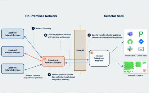 Diagram shows network flow data collection from on-premises locations to a Selector SaaS platform, enabling network discovery and telemetry analysis.