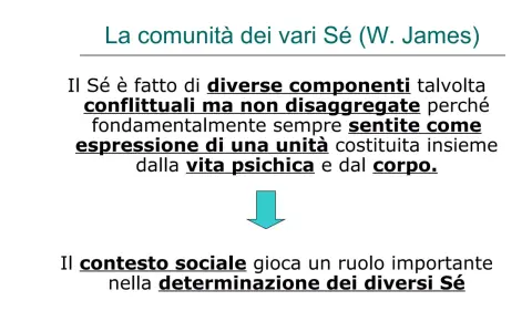 Il Sé è composto da diverse parti, a volte in conflitto, ma che formano un'unità. La diffusione di identità è influenzata dal contesto sociale.