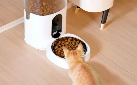Un gato naranja se acerca a un comedero personalizado, listo para disfrutar de su comida.