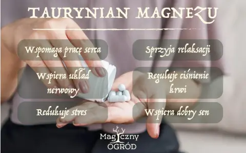 Taurynian magnezu wspiera serce, układ nerwowy, relaksację i sen. Choć nie ma tu mowy o skutkach ubocznych, warto pamiętać o jego dobroczynnym działaniu.