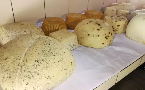 Różne rodzaje serów owczych, niektóre z ziołami, inne z papryczką, prezentowane na białym obrusie.