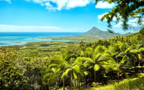 Rajski widok na Mauritius z palmami i górą Le Morne. Idealne miejsce na wakacje, sprawdź atrakcyjne ceny!
