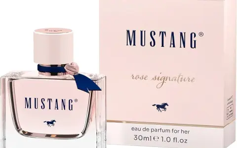 Die besten Damenparfums: Finden Sie Ihren perfekten Signature-Duft