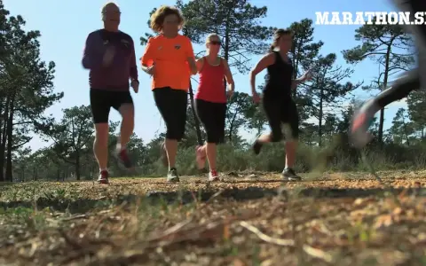 Fyra löpare i skogen. Frågan är hur ofta ska man springa för att nå sina mål? Marathon.se ger svaren.