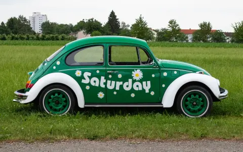 Zielony Garbus z napisem "Saturday" i stokrotkami. Idealny na dzień wolny za święto w sobotę.