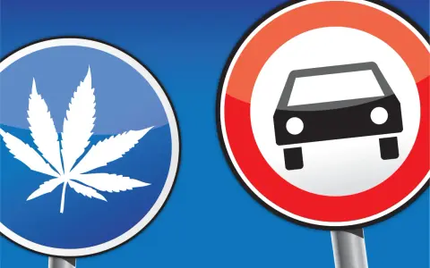Verkehrsschilder: Ein blaues Schild mit einem Cannabisblatt und ein rotes Schild mit einem Auto. Vorsicht vor Cannabis am Steuer!