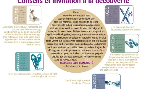Conseils pour observer la faune en hiver. Ne pas déranger les animaux sauvages, même avec un chien. Respecter leur tranquillité.