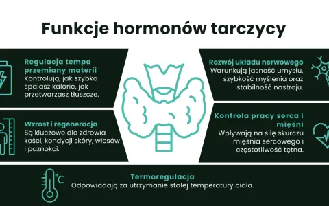 Grafika przedstawia tarczycę i ikony symbolizujące jej funkcje: metabolizm, układ nerwowy, wzrost, serce i termoregulację.