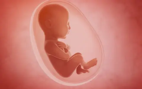 Płód w łonie matki, otoczony przez zielone wody płodowe, rozwija się w bezpiecznym środowisku.