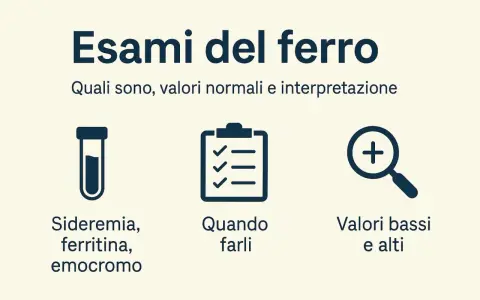Esami del ferro: sideremia, ferritina, emocromo. Capire i sintomi di ferro basso e i valori normali.