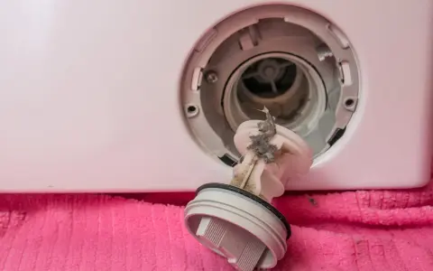 Ecco cosa succede se il filtro della lavatrice è sporco: accumuli di lanugine e detriti impediscono il corretto scarico dell'acqua, causando malfunzionamenti.