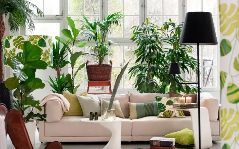 Un salón lleno de vida con muchas plantas, ideal para decorar con plantas el salón y crear un oasis verde.