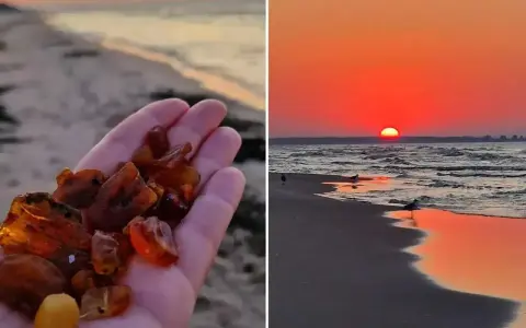 Dłoń pełna bursztynu na tle zachodzącego słońca nad morzem. Widać, jak wygląda bursztyn na plaży – ciepłe, miodowe kamienie.