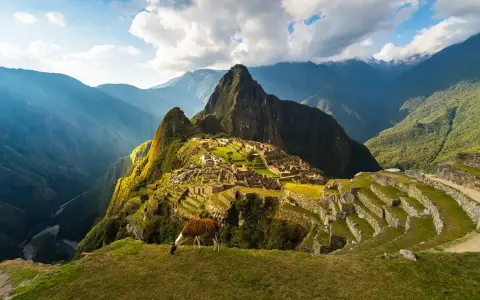 Un lama pasta en la cima de una montaña, contemplando la majestuosidad de que es Machu Picchu, una ciudadela inca entre picos andinos.