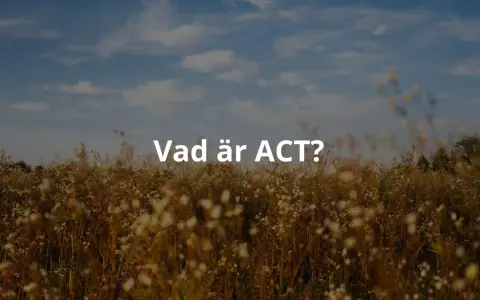 Texten "Vad är ACT?" visas över ett fält med högt gräs och blommor under en molnig himmel. ACT-metoden kan hjälpa dig att navigera i livet.