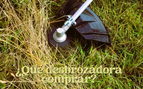 Cabezal de desbrozadora cortando hierba seca y verde. ¿Qué desbrozadora comprar?