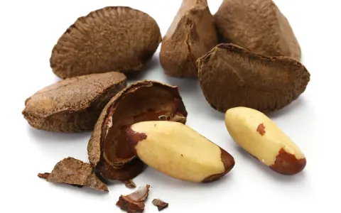Noix du Brésil : découvrez les noix du Brésil et leurs bienfaits pour la santé. Une coque ouverte révèle des amandes dorées, prêtes à être dégustées.