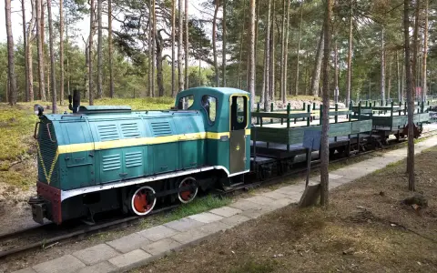 Zielona lokomotywa z żółtym pasem i wagonami na torach leśnych. Pociąg nawiązuje do historii muzeum obrony wybrzeża.