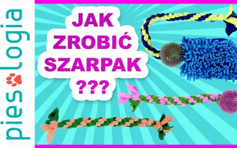 Jak zrobić szarpak dla psa ze sznurka, który przetrwa długie zabawy