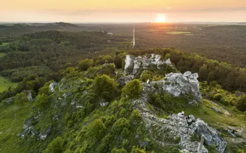 Rezerwat przyrody Góra Zborów – odkryj unikalne atrakcje i faunę