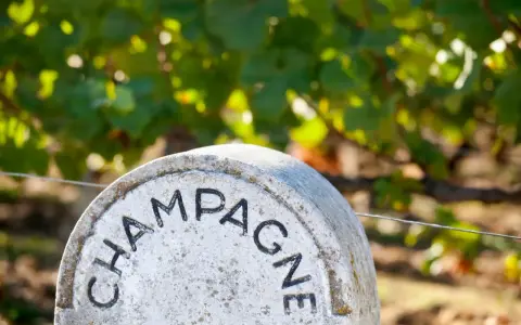 Ein Stein markiert das Gebiet, woher Champagner kommt. Weinreben im Hintergrund.