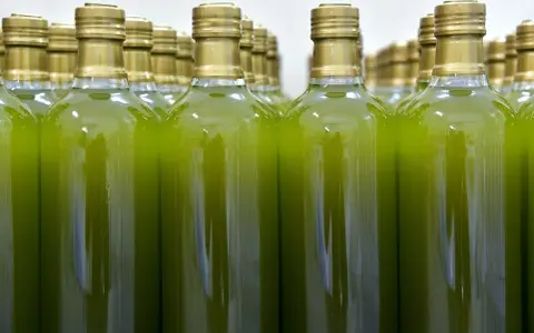 Botellas alineadas llenas de un líquido verde vibrante, reflejando el color del aceite de oliva virgen extra.