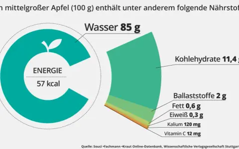 Wie viel Vitamine hat ein Apfel? Überraschende Nährstoffwerte enthüllt