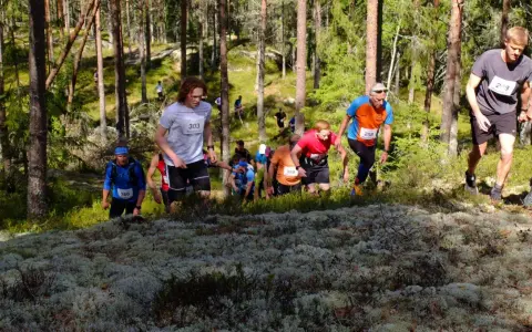 Löpare kämpar uppför en mossig backe under Kolmårdstrailen.