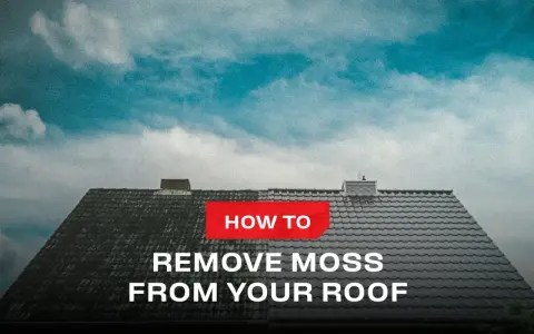 A split roof shows the difference before and after learning how to remove moss from your roof.