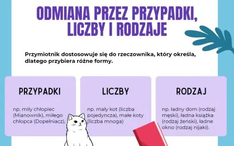 Grafika wyjaśnia odmianę przymiotnika przez przypadki, liczby i rodzaje. Pokazuje, jak przymiotnik dopasowuje się do rzeczownika, przybierając różne formy.