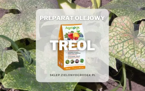 Opakowanie preparatu Treol na tle liści roślin.