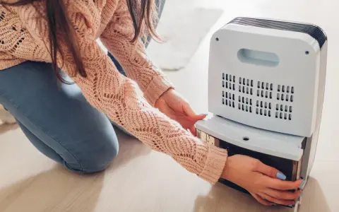 Persona extrae el depósito de agua de un deshumidificador para que sirve, manteniendo el aire seco y saludable en casa.