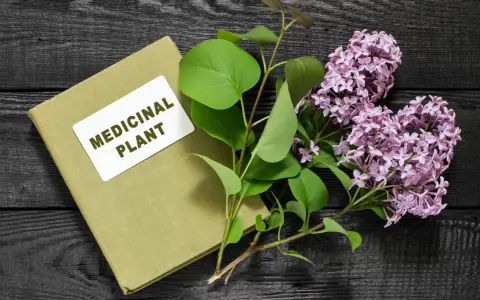 Livre sur les plantes médicinales, avec des feuilles vertes et des fleurs de lilas. Un remède anti inflammatoire naturel à portée de main.