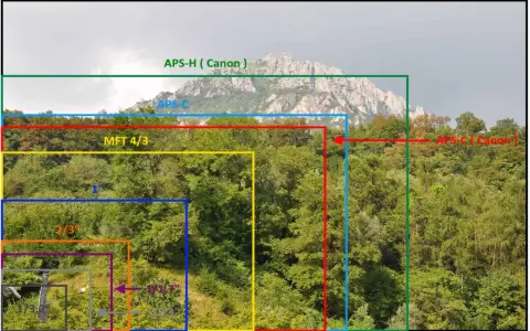 Confronto visivo di dimensioni sensore: dal più piccolo 1/1.7" al più grande APS-H (Canon), con il sensore full frame come riferimento implicito per la massima copertura.