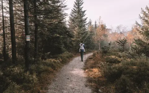 Osoba z dzieckiem w nosidle idzie leśną ścieżką. Obok drzewa znak szlaku turystycznego.