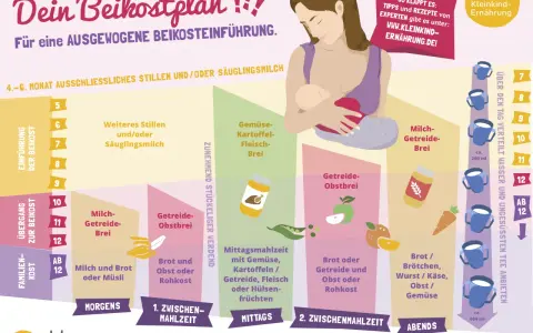Beikostplan mit Babybrei-Rezepten ab 8. Monat: Gemüse, Obst, Milchbrei & mehr für eine ausgewogene Einführung.