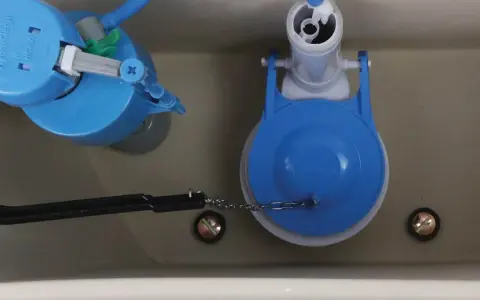 Toilet tank internals. A blue Hydroclean flush valve and a blue dual-flush valve. Could a faulty valve be why does my toilet keep running?
