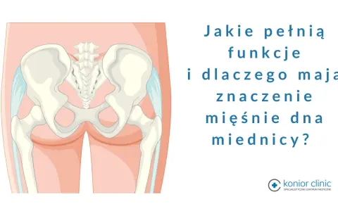 Anatomia miednicy, ilustracja przedstawiająca kości miedniczne i kręgosłup krzyżowy, z tekstem pytającym o funkcje mięśni dna miednicy.
