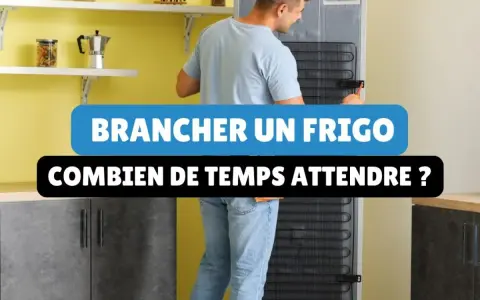Un homme branche un frigo. Combien de temps attendre avant de le mettre en marche après un transport couché ?