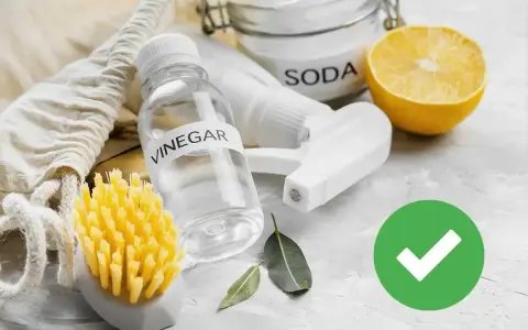 Aceto, bicarbonato e limone: ingredienti naturali per il trattamento delle acque e la pulizia ecologica. Spazzola gialla e foglioline verdi.
