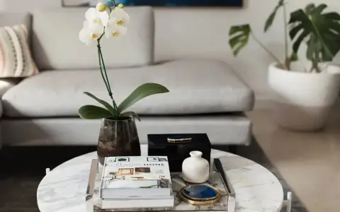 En vit orkidé i en mörk vas, böcker och en svart ask med blå sten utgör en elegant dekoration soffbord.