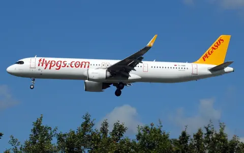 Samolot Pegasus Airlines z napisem "flypgs.com" na kadłubie i żółtym ogonem. W tle błękitne niebo i zielone drzewa. Idealny do przewozu bagażu.