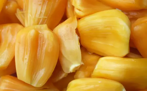 Żółte, soczyste segmenty owocu jackfruit, który to? Wyglądają apetycznie!