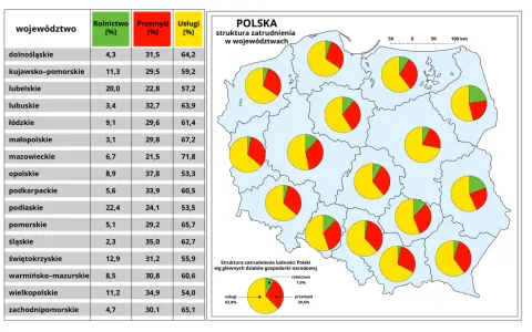 Struktura zatrudnienia w Polsce: dane procentowe dla rolnictwa, przemysłu i usług w poszczególnych województwach.