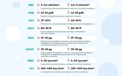 Wbc morfologia co to jest? Tabela norm parametrów krwi: RBC, HGB, HCT, MCV, MCH, MCHC, WBC, PLT.